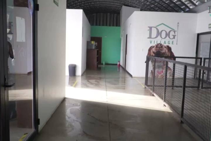 Pasillo de las suites de hospedaje de Dog Village