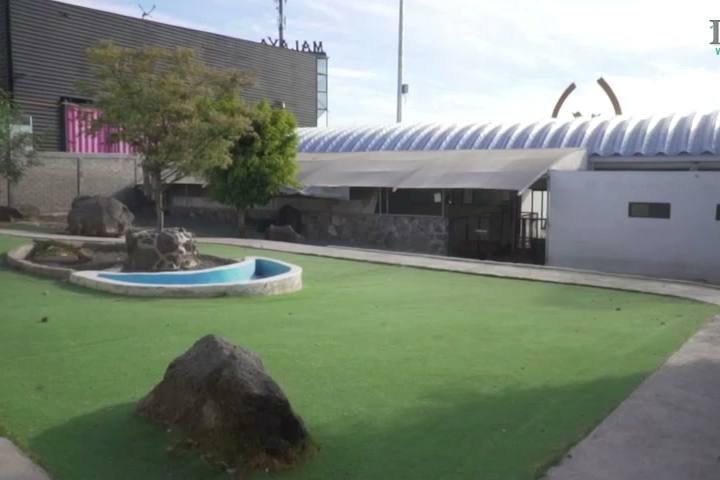 Zona de descanso junto a la alberca en Dog Village